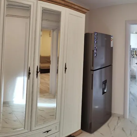 Timisoara Central Apartament *