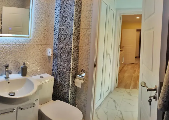 Timisoara Central Apartamento *