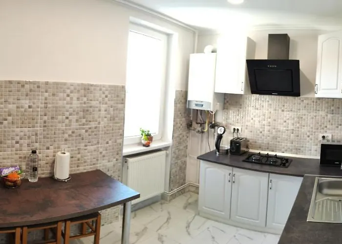 Timisoara Central Apartamento