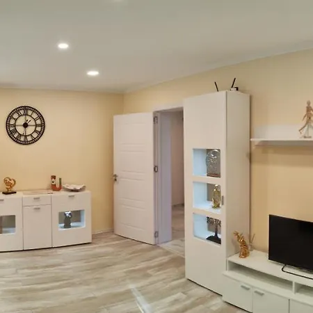 Timisoara Central Apartment *