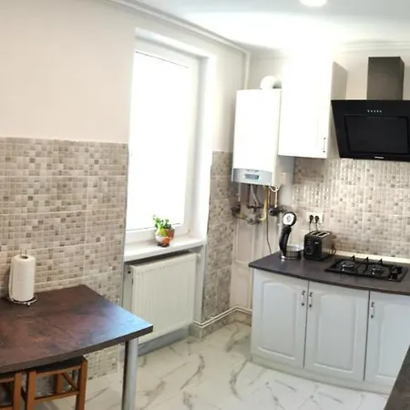 Timisoara Central Apartment